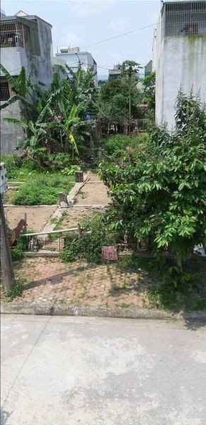 Chính chủ bán nhanh lô đất MBQH 1568 Quảng Hưng