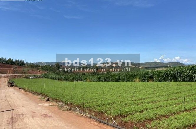 BÁN LÔ ĐẤT 555M2 GIÁP SUỐI NAM BAN, 900 TRIỆU, THƯƠNG LƯỢNG.
