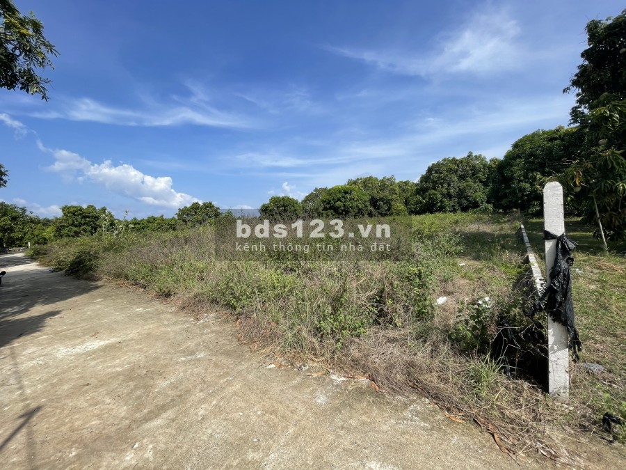 Đất trung tâm Cam Lâm 1681m2 Full thổ - Giá đầu tư