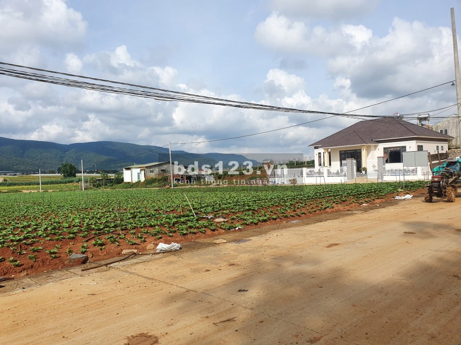 BÁN LÔ ĐẤT 555M2 GIÁP SUỐI NAM BAN, 900 TRIỆU, THƯƠNG LƯỢNG.