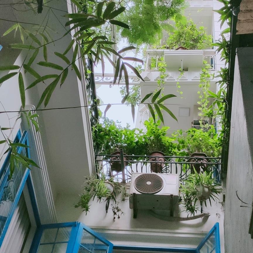 Mặt tiền 15m, mặt phố Ngô Quyền, 400m2, đẳng cấp, cafe, Nhà hàng, Thời trang, vỉa hè rộng, Hoàn Kiếm