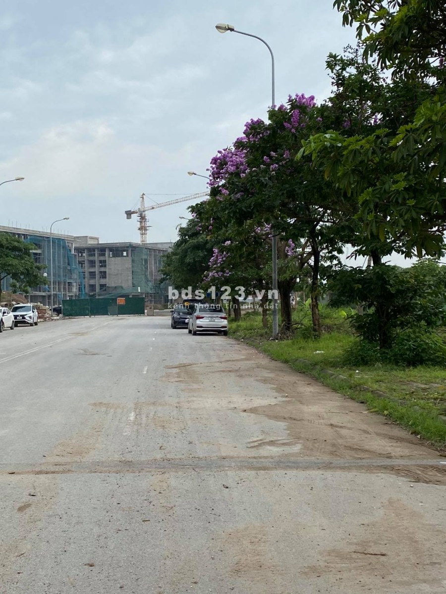 Bán nhà Trâu Quỳ Quỹ căn Shophouse Hải Phát Thuận An (5 Căn). LH 0982852808