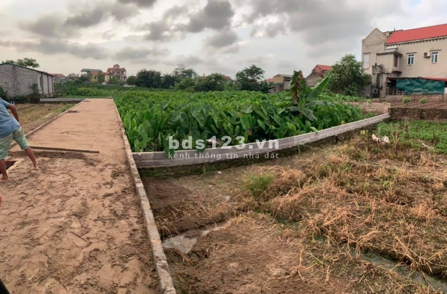 BÁN GẤP MẢNH ĐẤT RẺ NHẤT TẠI THẮNG LỢI - THƯỜNG TÍN
