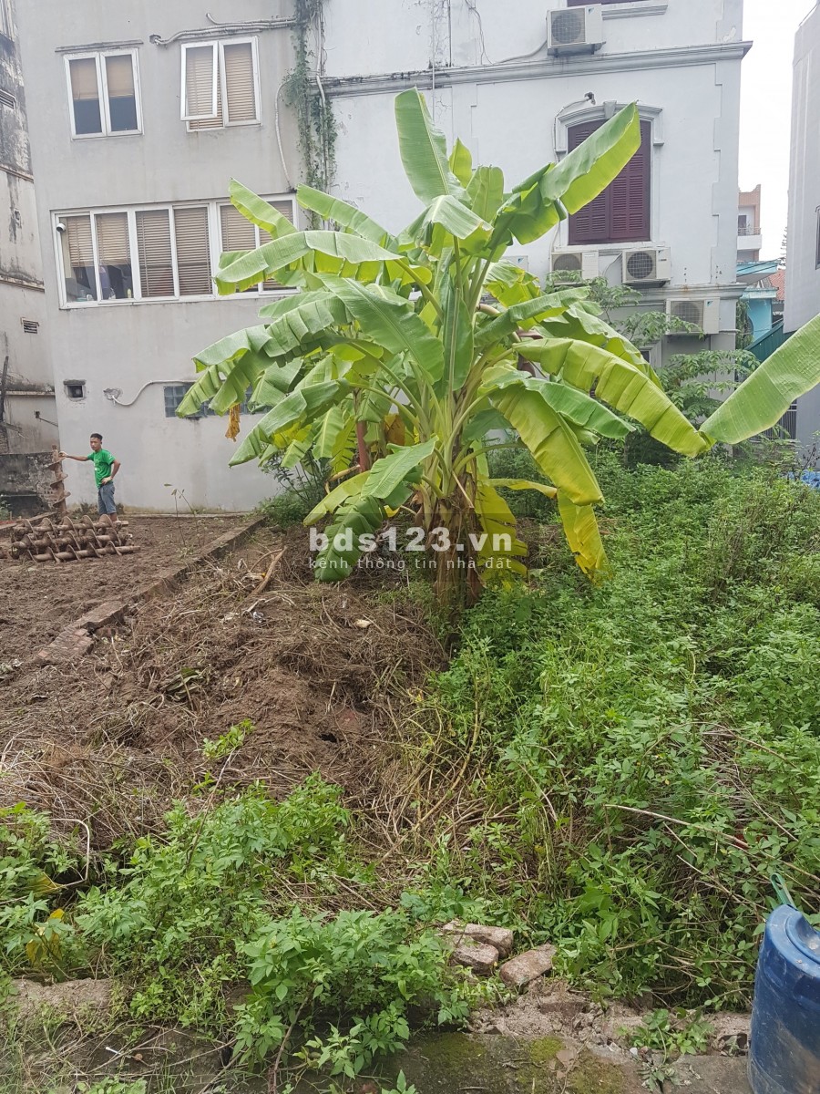 Mảnh đất 260m2 phố Thụy Khuê Tây Hồ kinh doanh lời tới 1 tỷ/tháng giá bán 60 tỷ