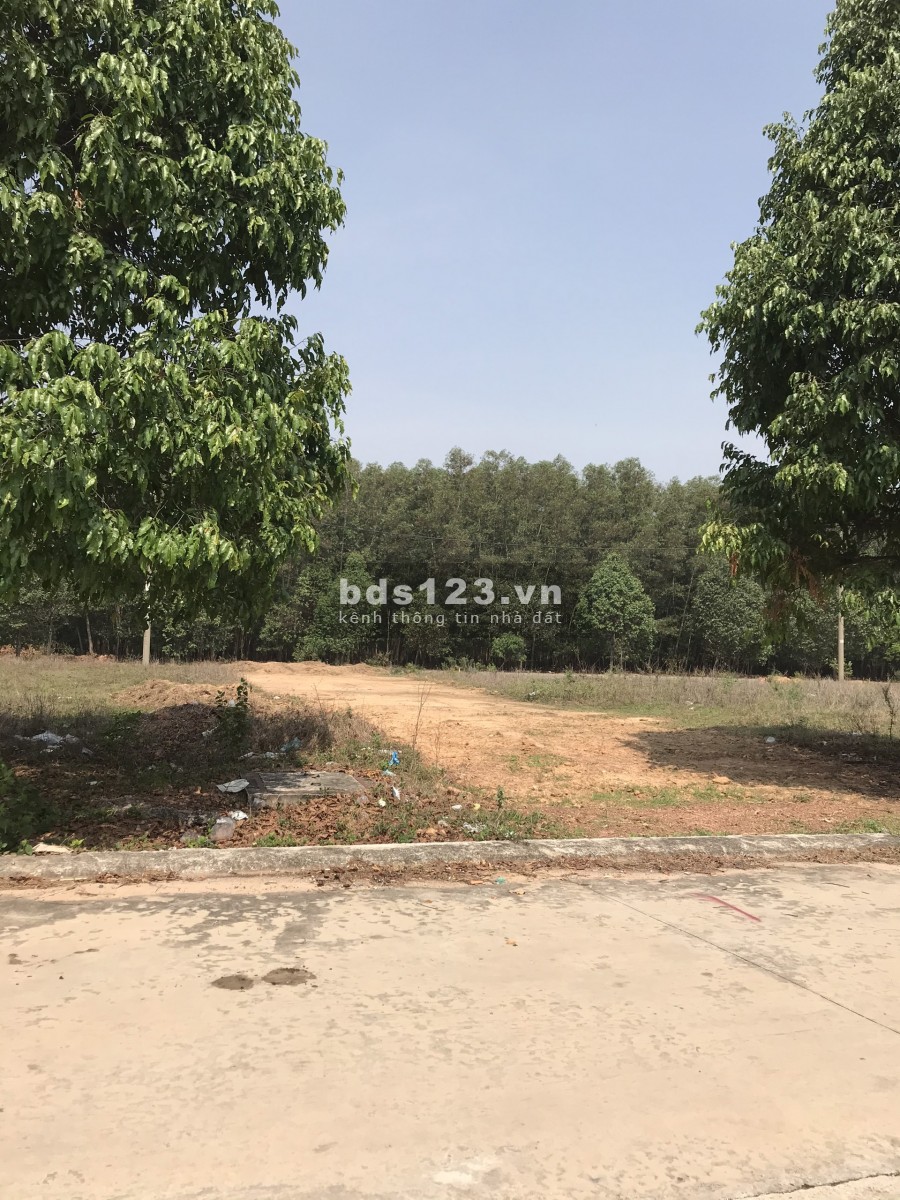 (Chính chủ vỡ nợ)CẦN BÁN LỖ 16PHONG TRỌ THU NHẬP CAO 20TRIEU/THANG ĐANG CHO THUÊ KÍN NẰM LIỀN KỀ KCN