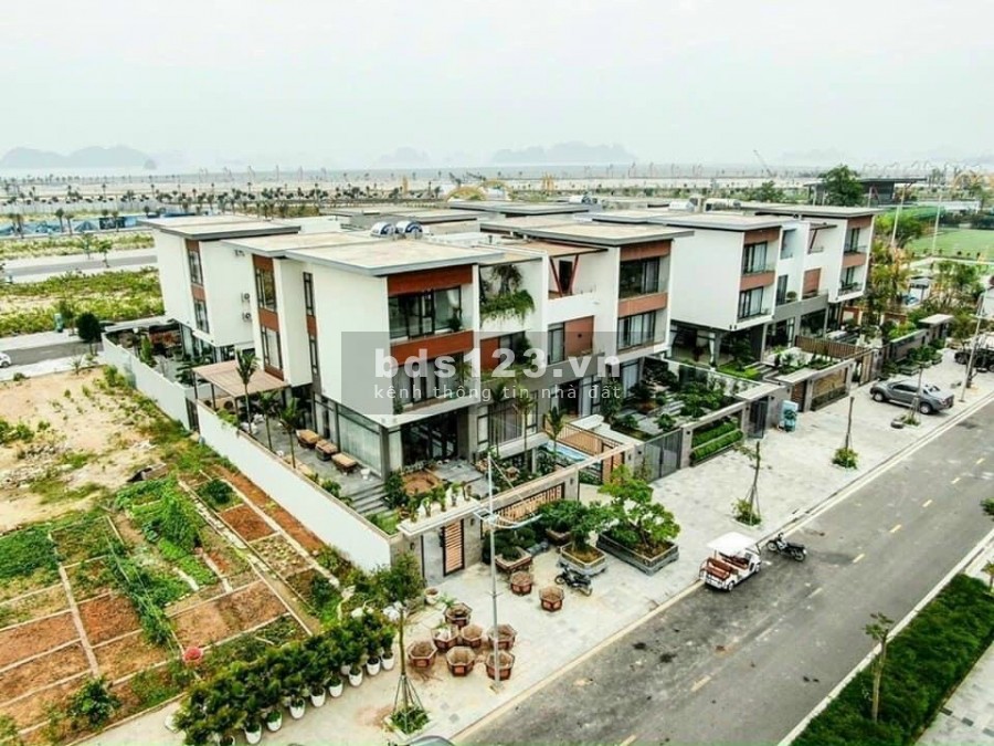 Chính Chủ cần bán BT Trục Kinh Tế Đêm Dự án Phương Đông Vân Đồn