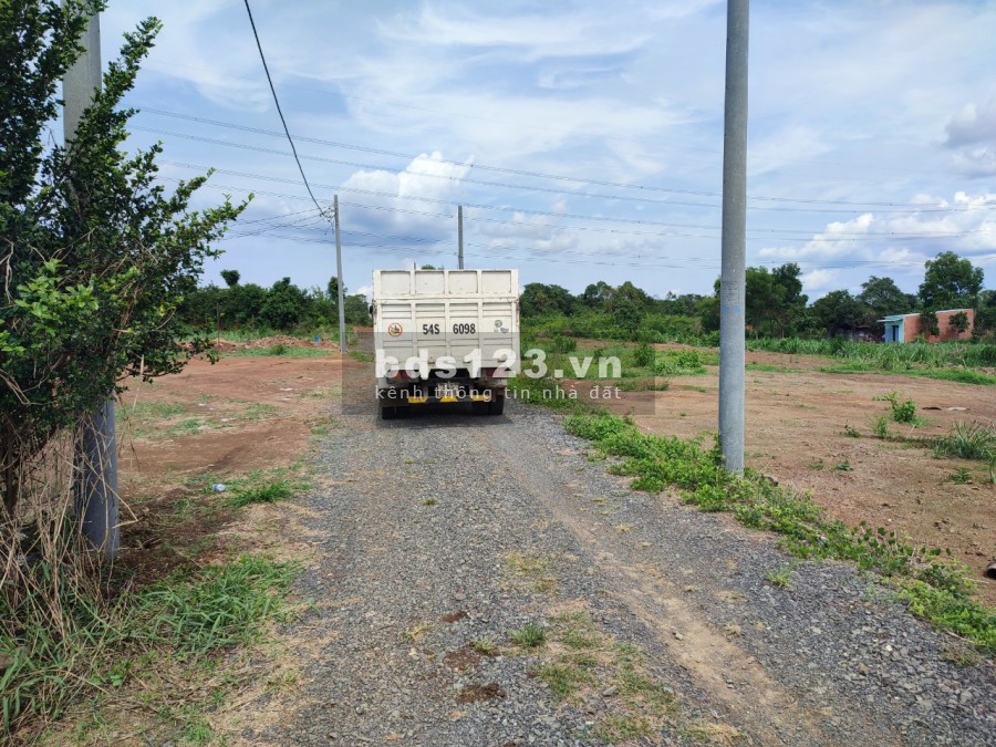 Bán vườn mít thái 1 năm tuổi xã Hưng Thịnh, Trảng Bom