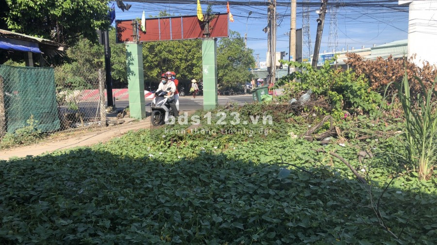 ĐẤT BA MẶT TIỀN HẤP DẪN Ở LONG AN