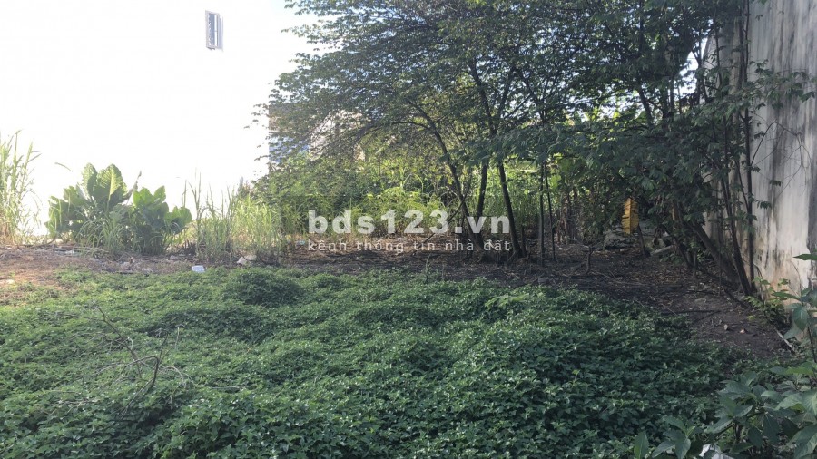 ĐẤT BA MẶT TIỀN HẤP DẪN Ở LONG AN