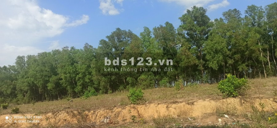 CẦN BÁN LÔ ĐẤT GIÁ RẺ LONG THÀNH GIÁ 2T2/M2 LH: 0868068577