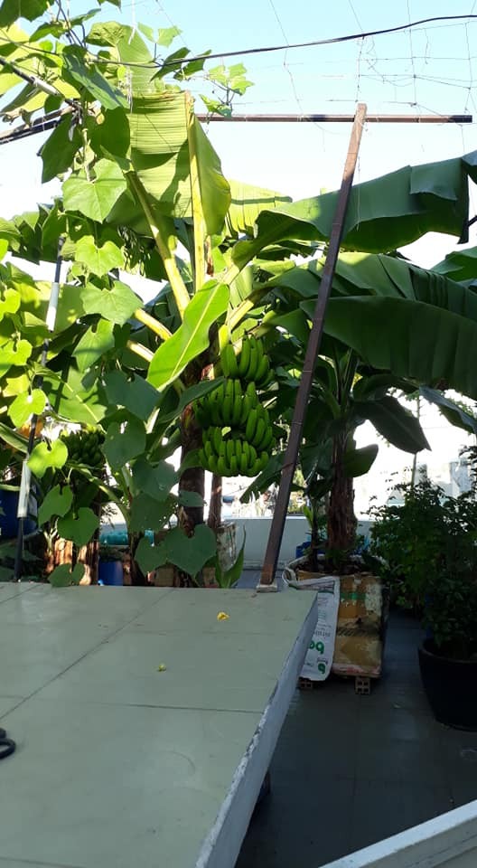 KHÓ KHĂN KINH TẾ Bán Gấp Giá Rẻ Nhà 4 Tấm, 4m X15m, Đường 10m NGAY BIG C TRƯỜNG CHINH Tiện Kinh Doanh.