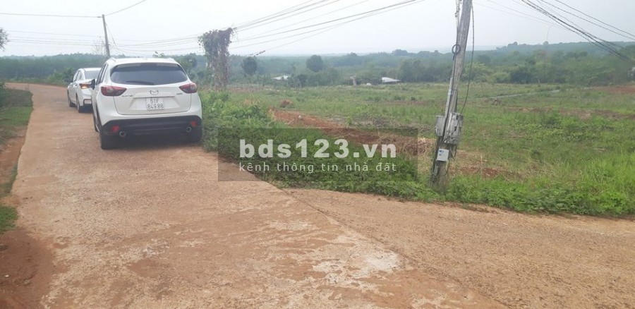 Em cần bán gấp đất sào Bình Phước giá rẻ ngay 3 cụm KCN, dân cư đông, sổ sẵn, đường thông 1000m2
