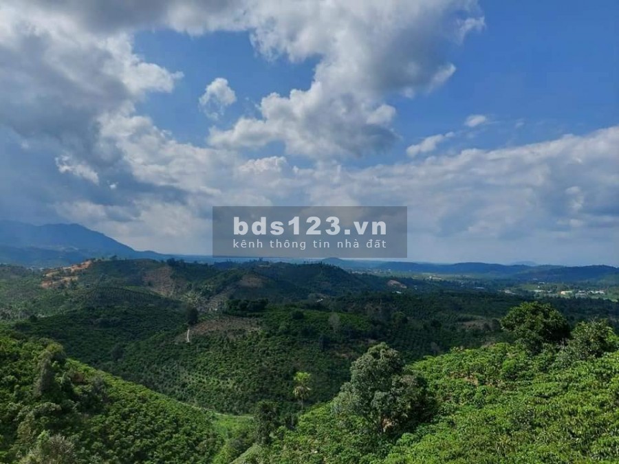 3500m2 đất full thổ cư, căn góc 2 mặt tiền, 30m mặt tiền đường nhựa, giá chỉ 1t2