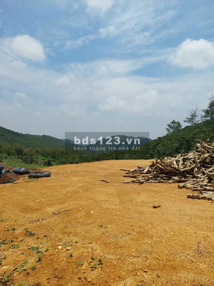 3500m2 đất full thổ cư, căn góc 2 mặt tiền, 30m mặt tiền đường nhựa, giá chỉ 1t2