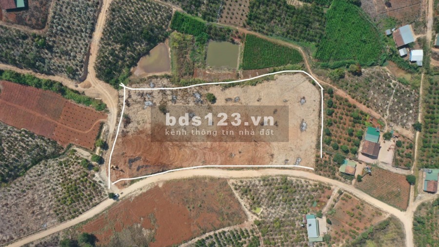 Cực Phẩm đất nền trên đồi thông tại Gia Lâm giá chỉ từ 1tr7-1tr8/m2 view đồi thông và TT Nam Ban