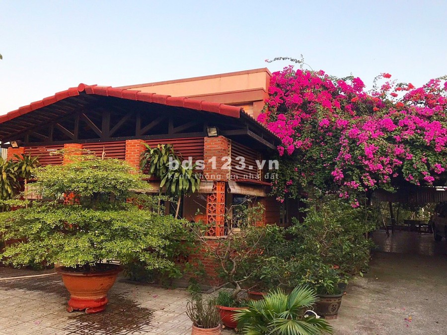 Chính chủ bán gấp nhà vườn cực đẹp 2554m2 tại Tân Thạnh Đông Củ Chi