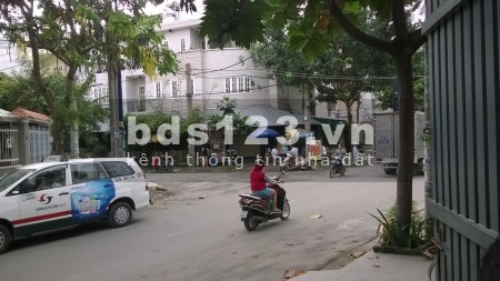 cho thuê nhà 1 trệt 02 lầu, vị trí kinh doanh
