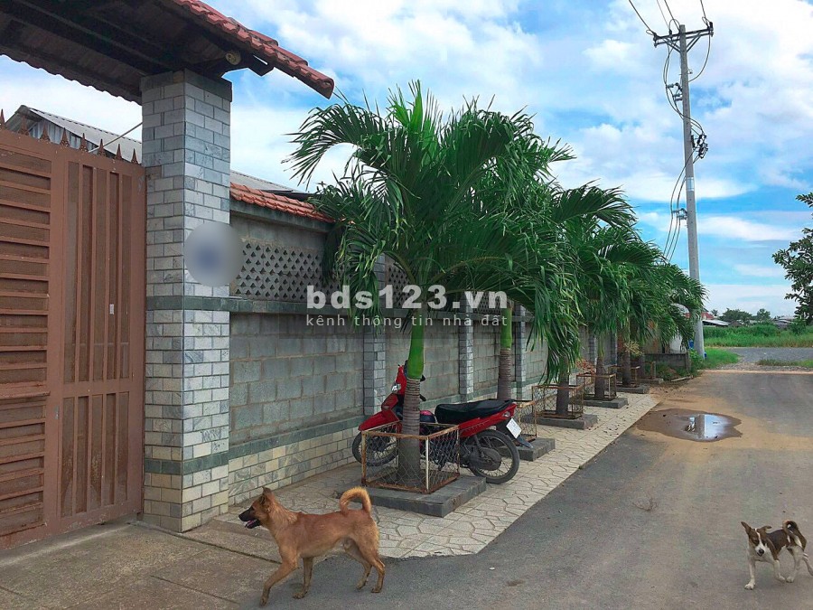 Chính chủ bán gấp nhà vườn cực đẹp 2554m2 tại Tân Thạnh Đông Củ Chi