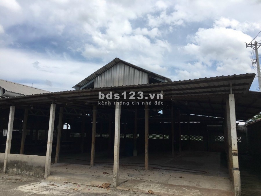 Chính chủ bán gấp nhà vườn cực đẹp 2554m2 tại Tân Thạnh Đông Củ Chi