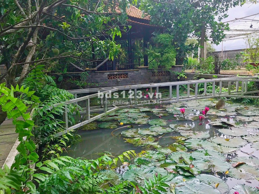 Chính chủ bán gấp nhà vườn cực đẹp 2554m2 tại Tân Thạnh Đông Củ Chi