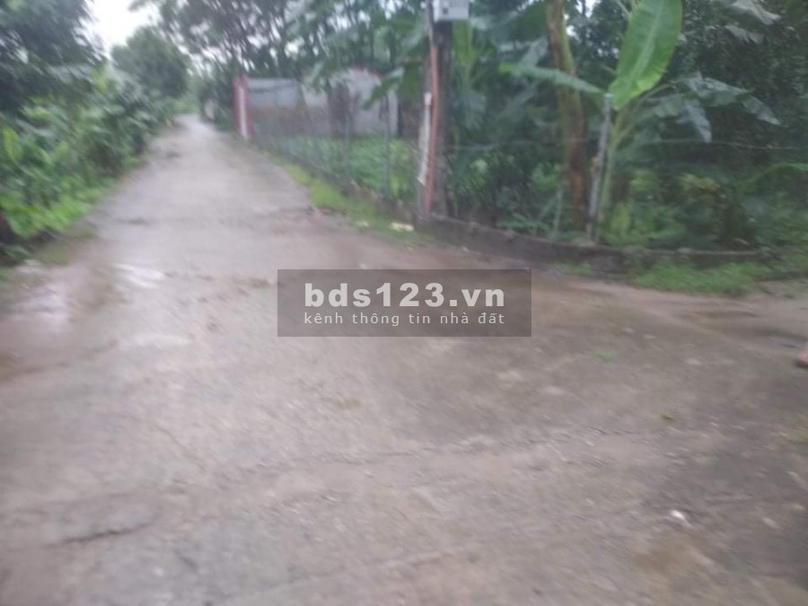 CC bán đất 51m2(5,6x10) Vạn Phúc,Thanh Trì,Hà Nội,đường ô tô,MTG