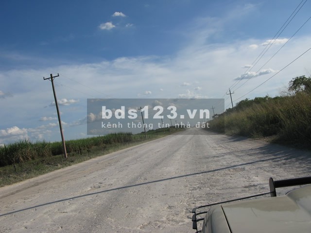 BÁN LÔ ĐẤT 6000M2 ĐẤT CÓ THỔ CƯ NGAY MẶT TIỀN ĐƯỜNG NHỰA