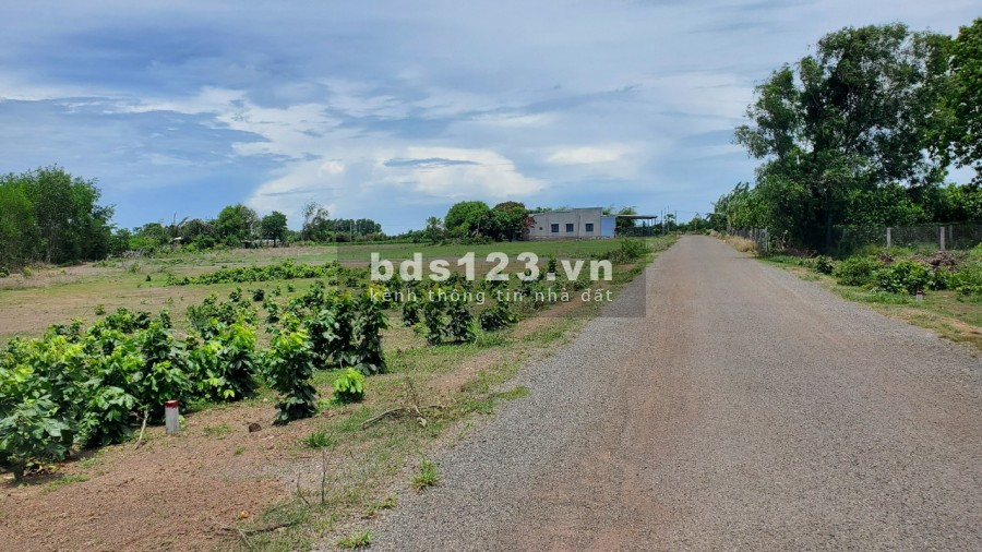 Đường nhựa phạm Duy Trinh Thị trấn đất Đỏ, Bà Rịa-VT giá chỉ 6,2tr/m2