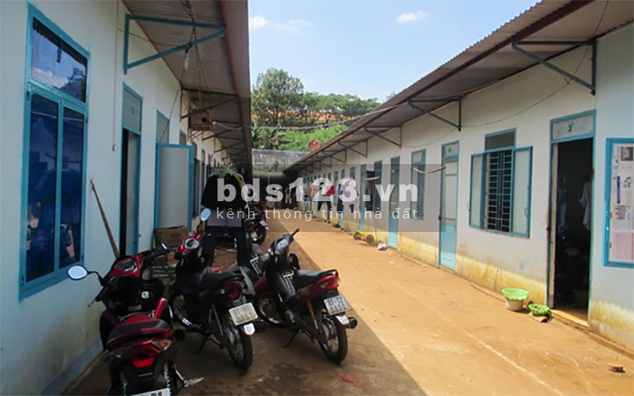 BÁN LÔ ĐẤT 6000M2 ĐẤT CÓ THỔ CƯ NGAY MẶT TIỀN ĐƯỜNG NHỰA
