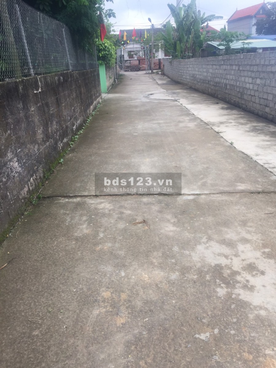 Đất nền xã hòa bình Thủy nguyên hải phòng
