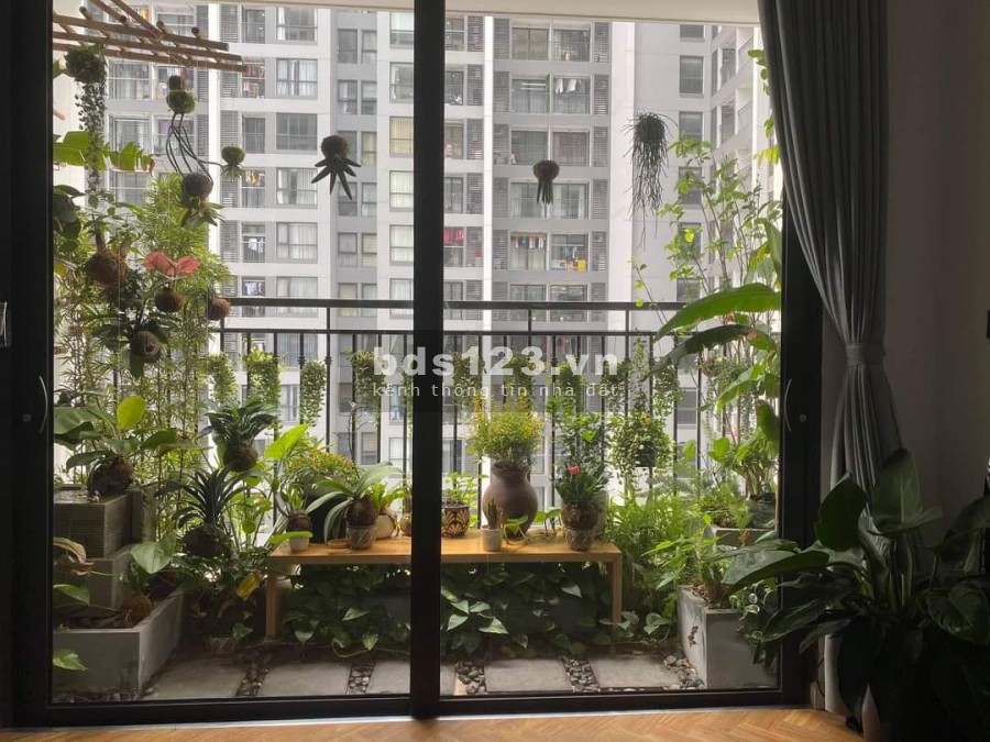 Ecolife Riverside Quy Nhơn- Căn hộ Xanh chuẩn Quốc tế Mỹ đầu tiên tại Quy Nhơn