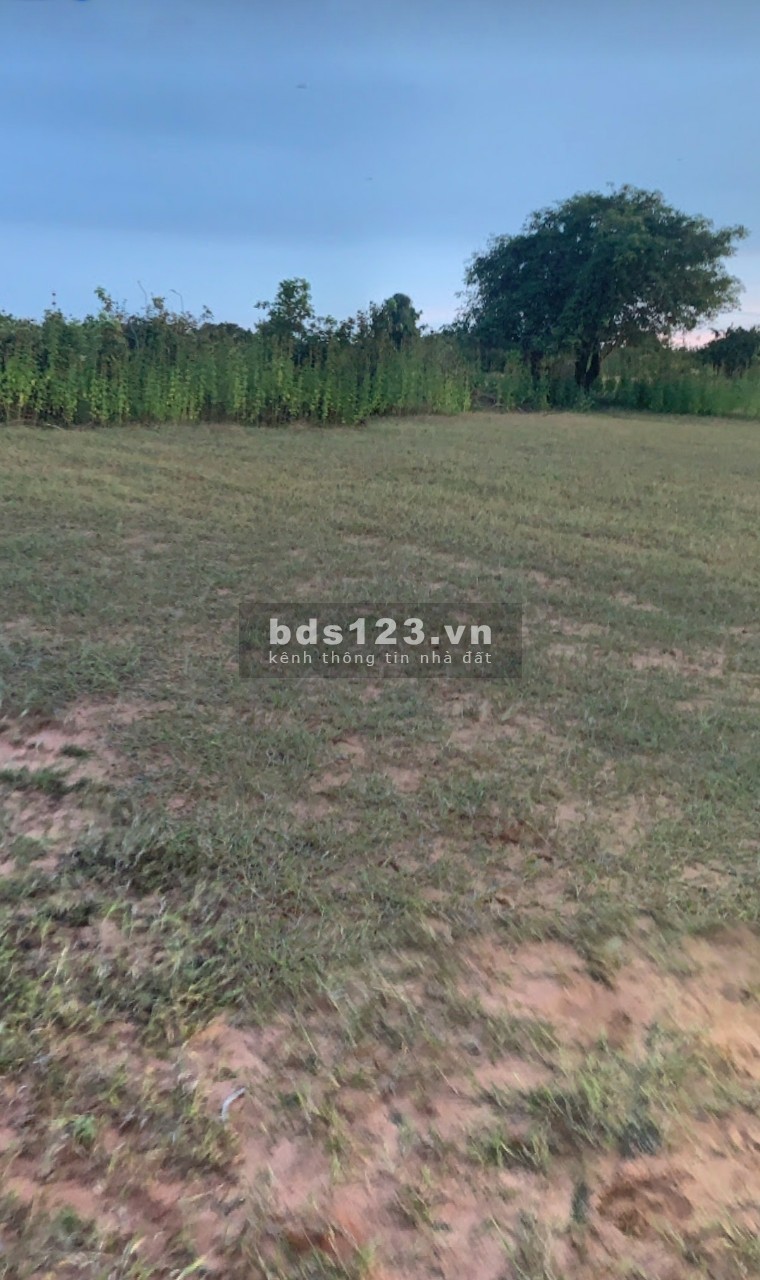 Bán 6396m2 đất nông nghiệp phan thanh gần quốc lộ 1a và kênh nước chỉ 671tr Lh 0938677909 Hiền