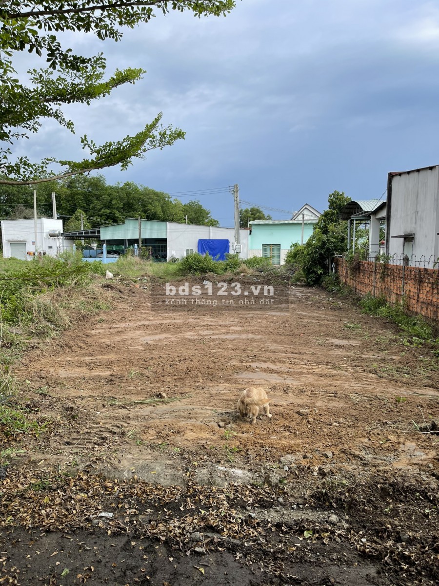 Chia tài sản tôi sang nhanh lại căn trọ ngay chợ, dân đông giá rẻ