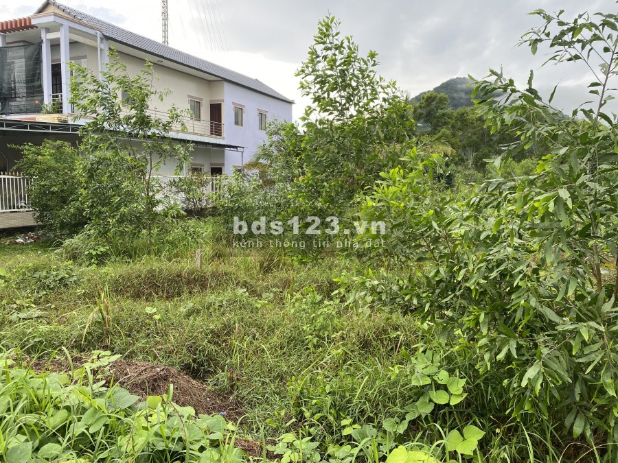 1,7ha Hơn 200m Mặt Tiền Đông Đảo - Hàm Ninh