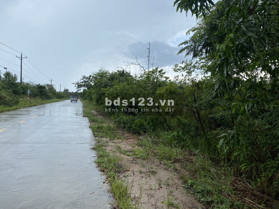 1,7ha Hơn 200m Mặt Tiền Đông Đảo - Hàm Ninh