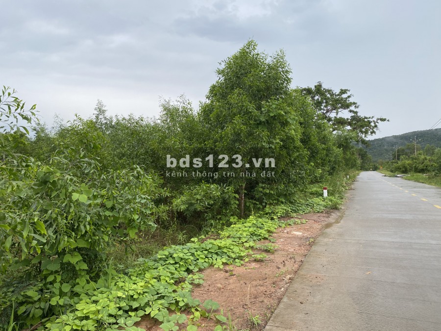 1,7ha Hơn 200m Mặt Tiền Đông Đảo - Hàm Ninh