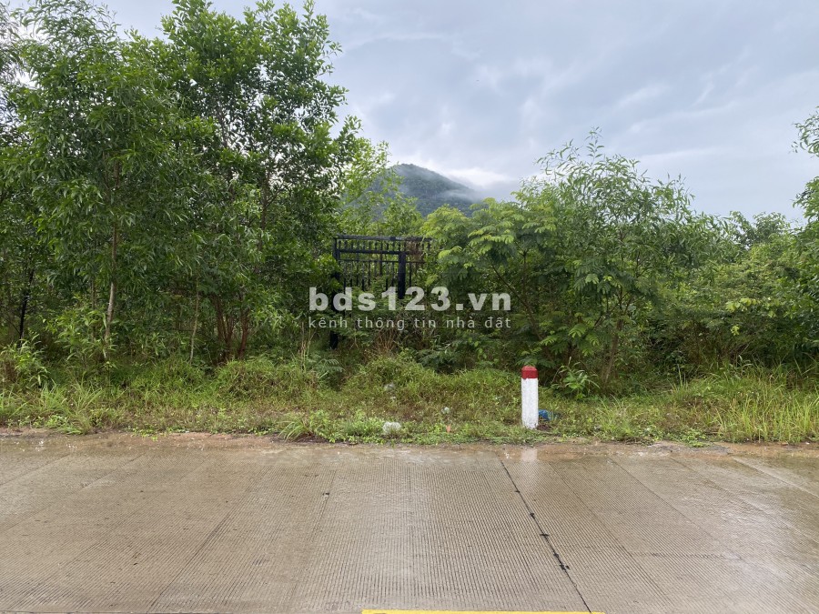 1,7ha Hơn 200m Mặt Tiền Đông Đảo - Hàm Ninh