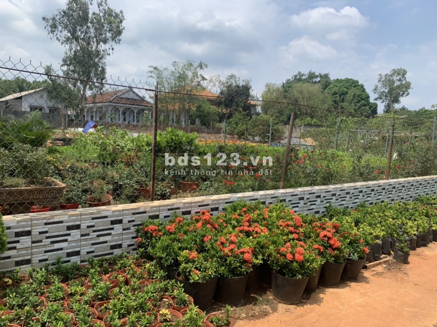 1000m2 nhà vườn Gần 2 trường Đại Học và khu tái định cư Long Thành, chính chủ