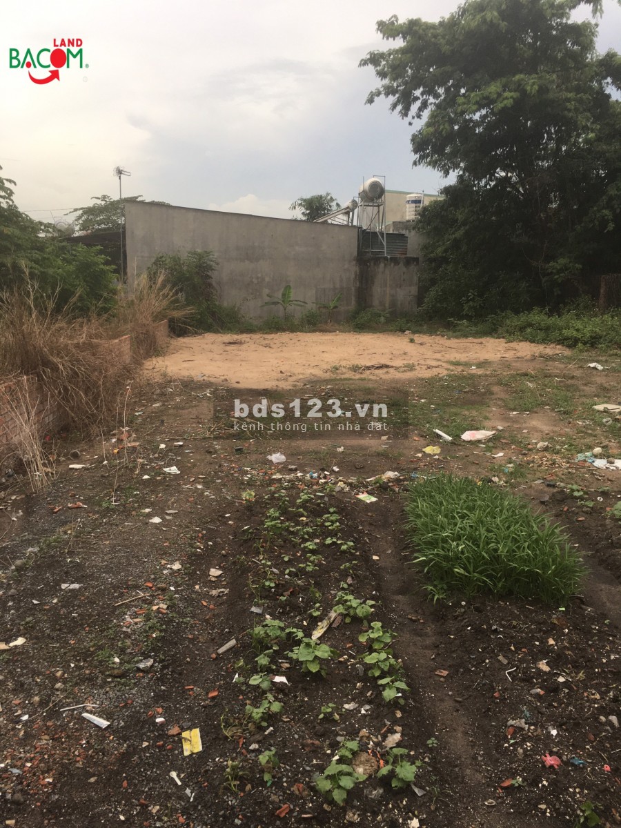 Bán đất 271m2 SHR đường ô tô (P. Trảng Dài) ngay đường thân nhân trung giá chỉ 2ty5