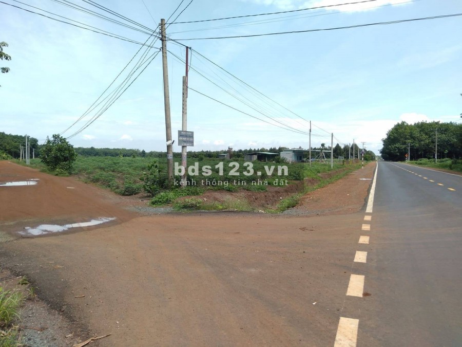 Kẹt tiền ra nhanh lô 275m2 full thổ cư giá chỉ 540tr không thương lượng