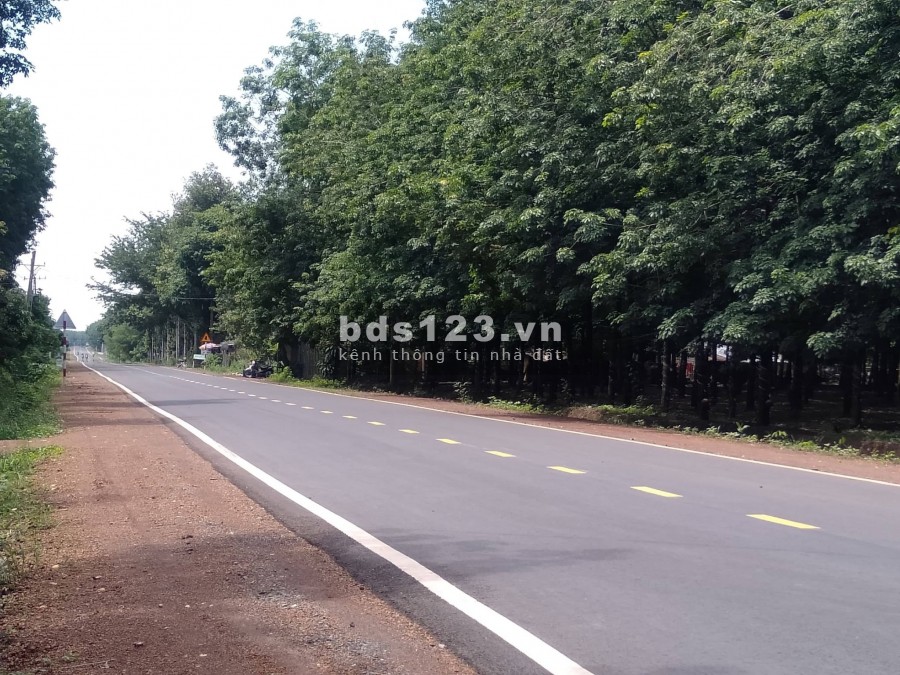 Kẹt tiền ra nhanh lô 275m2 full thổ cư giá chỉ 540tr không thương lượng