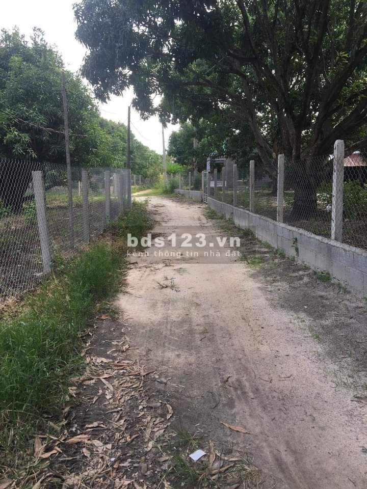 Chỉ 3,2tr/m2 có ngay lô đất thổ cư thị trấn Cam Đức