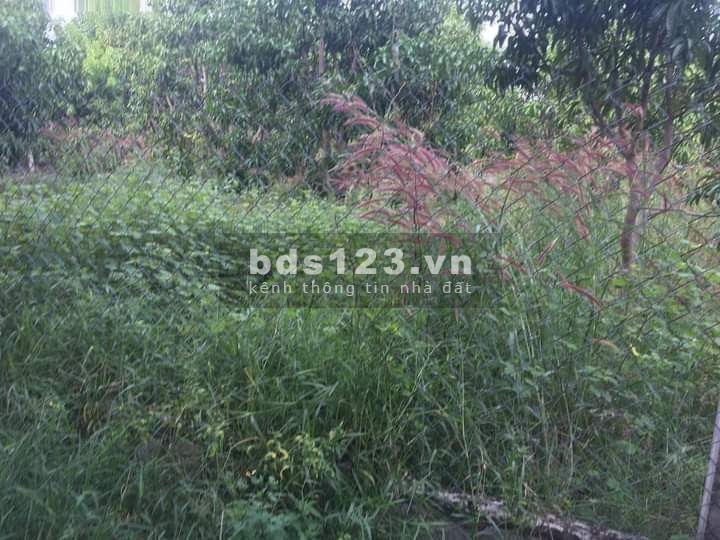 Chỉ 3,2tr/m2 có ngay lô đất thổ cư thị trấn Cam Đức