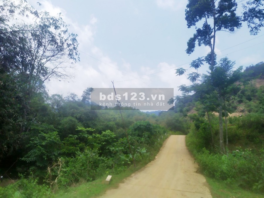 Cần bán lô đất chính chủ view toàn cảnh hồ Thủy điện Hòa Bình