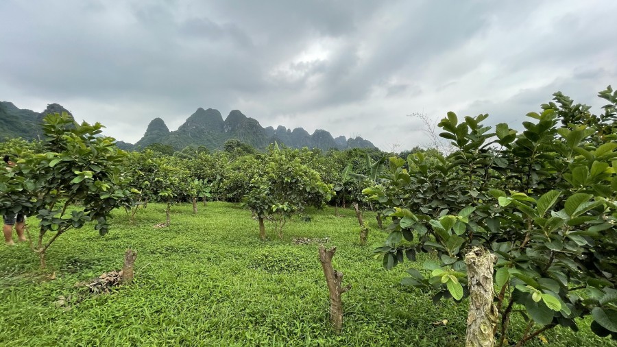 Chính chủ cần bán đất thiên đường nghỉ dưỡng tại Lương Sơn, Hòa Bình
