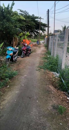 Rẻ như cho! 291.3m² đất thổ Long An mà chỉ 1.6 tỷ
