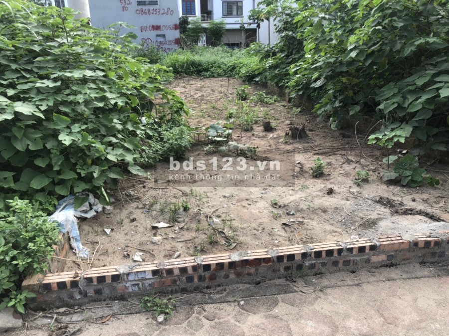 Bán gấp ! đất Kẻ Tạnh - Long Biên , ngõ thông, Dt: 55m, giá: 2.9 tỷ (có thương lượng)