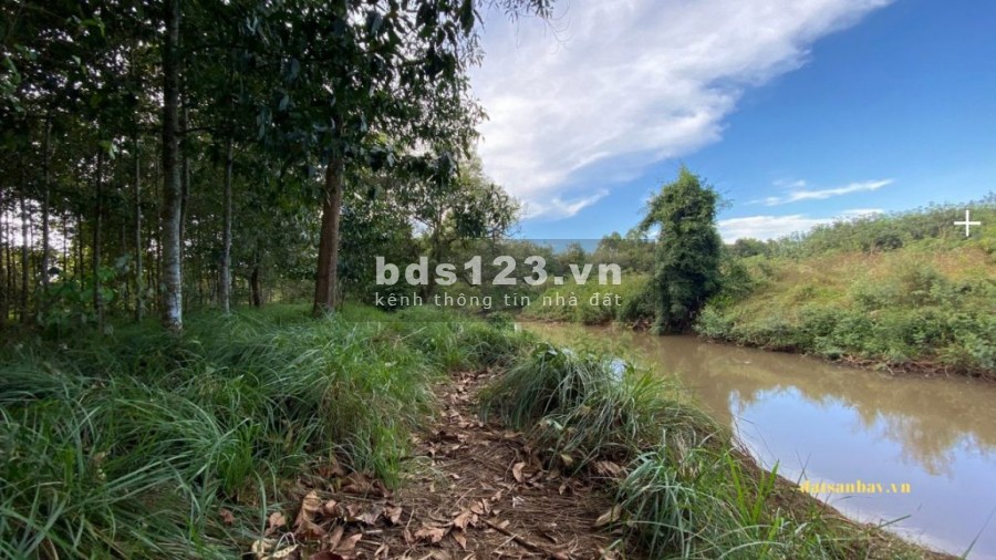 Đất Sào Bình Long Giá Rẻ 2250m2/440tr Liền Kề KCN