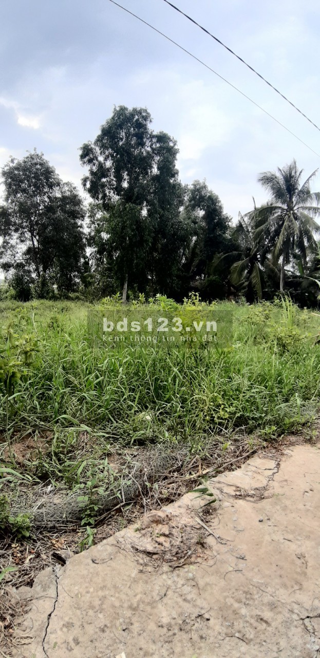 Bán đất Bình Phước giá rẻ đất bao đẹp 1000m2 chỉ có 440 triệu