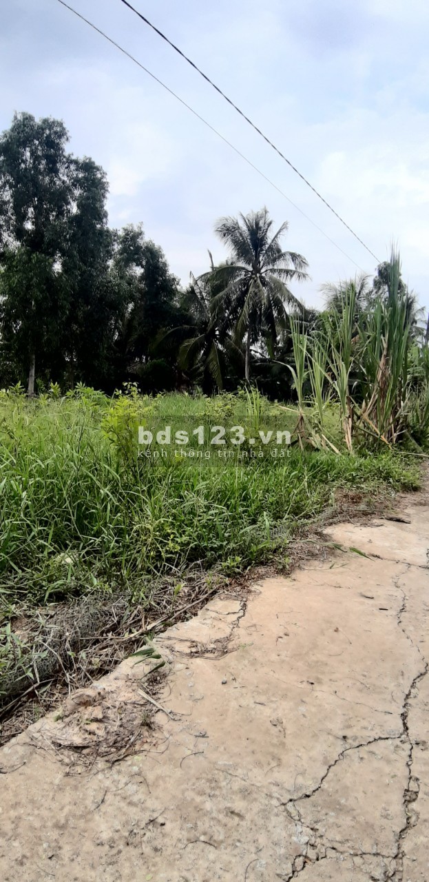 Bán đất Bình Phước giá rẻ đất bao đẹp 1000m2 chỉ có 440 triệu