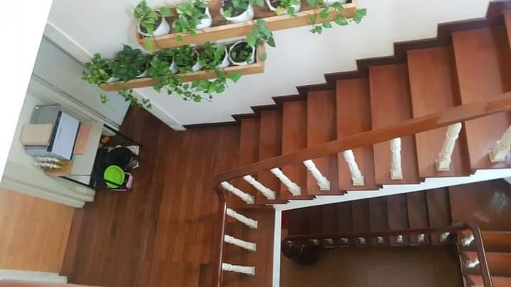 Bán biệt thự Trần Quang Diệu 368/406m2 3 tầng P14 Quận 3 giá 49 tỷ